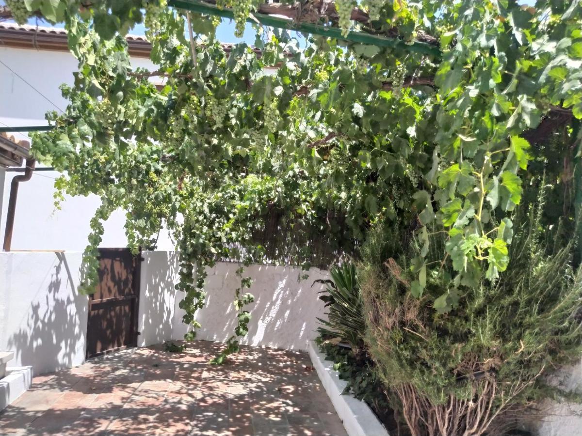 La Casa Del Ingles Villa Montefrío Eksteriør billede